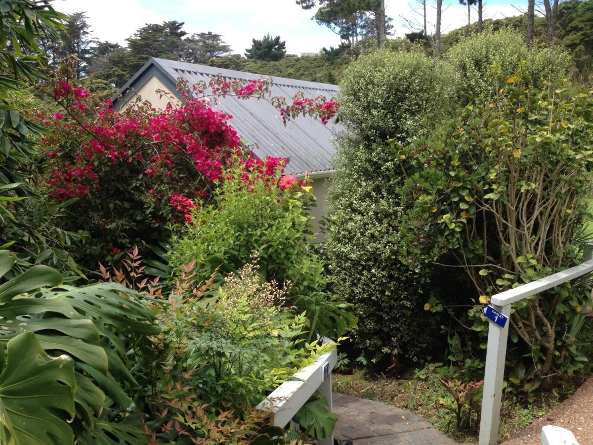 Supacute Character Cottage, Wifi, Sky Tv, Spa Bath, Spa Bath, Dble Kayak And Possibly A Car! Palm Beach 外观 照片