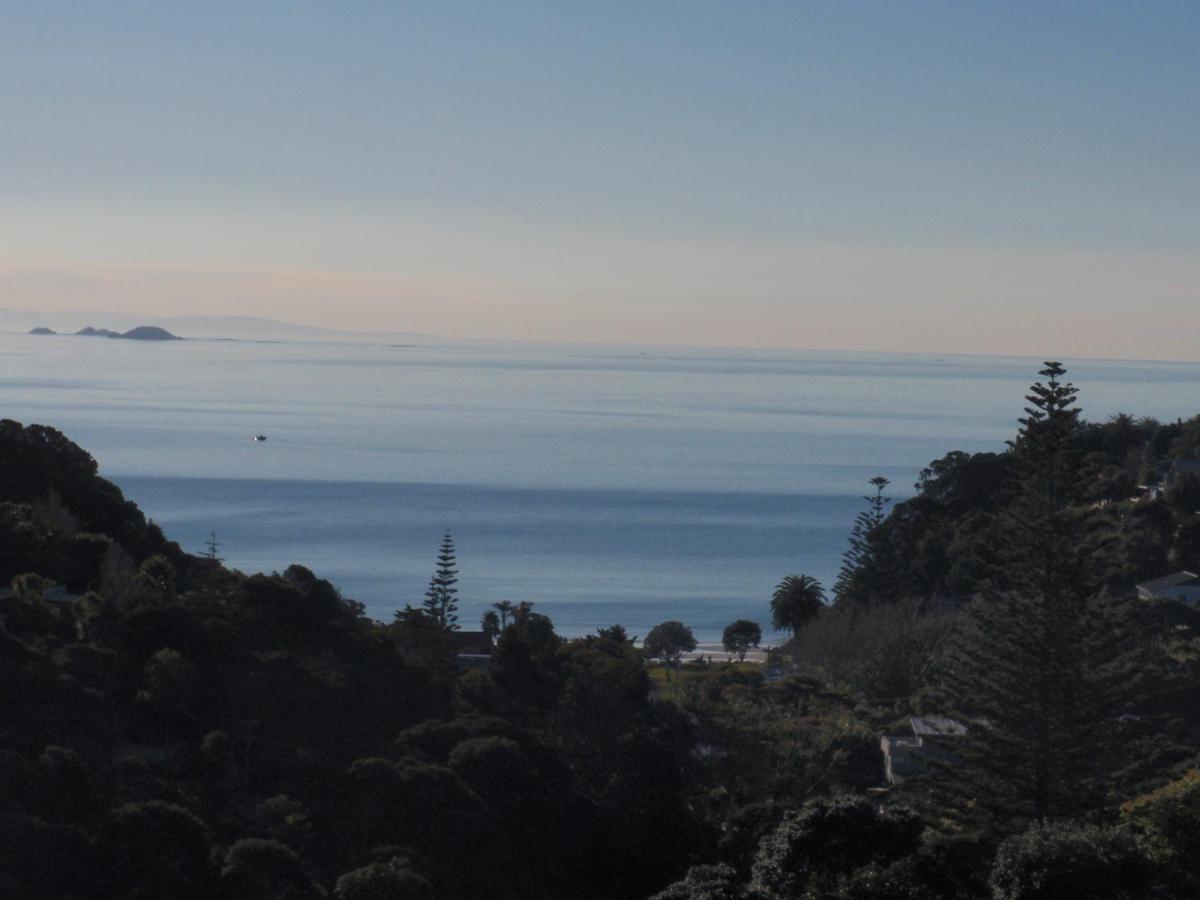 Supacute Character Cottage, Wifi, Sky Tv, Spa Bath, Spa Bath, Dble Kayak And Possibly A Car! Palm Beach 外观 照片