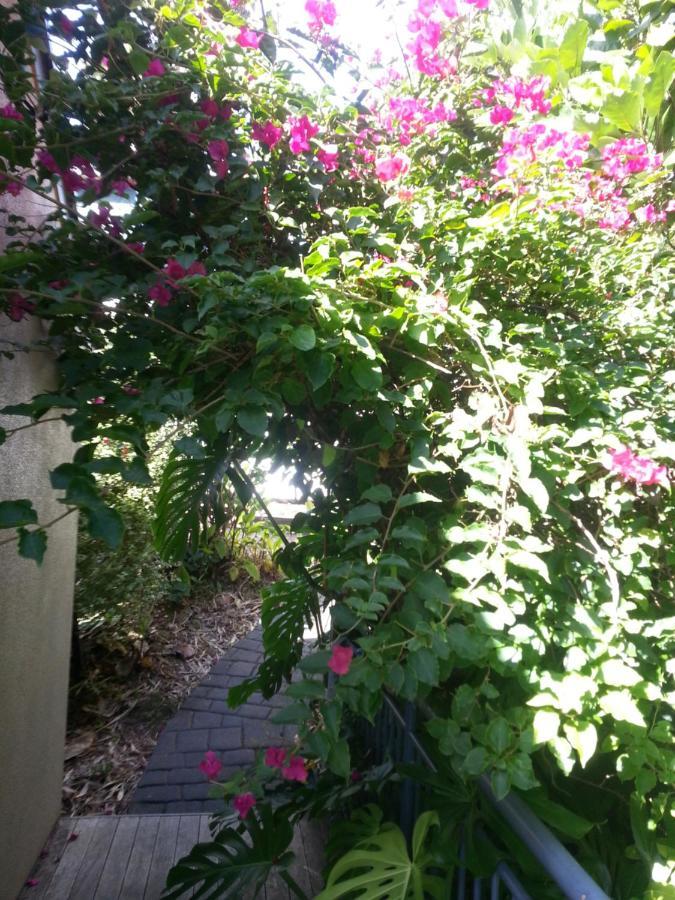 Supacute Character Cottage, Wifi, Sky Tv, Spa Bath, Spa Bath, Dble Kayak And Possibly A Car! Palm Beach 外观 照片